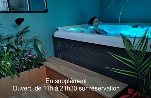 Les Treilles De Salies - Spa Et Sauna Interieur Екстериор снимка